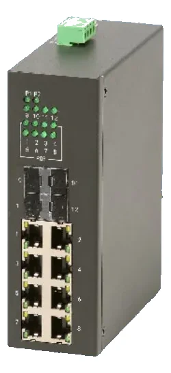 ZJIES1000D-P-8PGT4GB-DCH